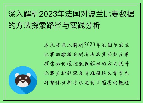 深入解析2023年法国对波兰比赛数据的方法探索路径与实践分析