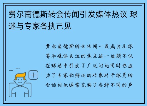 费尔南德斯转会传闻引发媒体热议 球迷与专家各执己见
